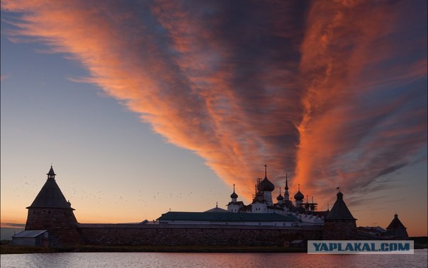 Вот и сегодня Ёжик сказал Медвежонку