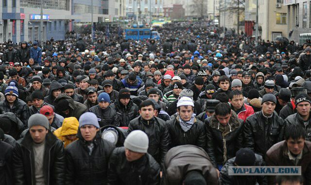 Помогите бедолаге...