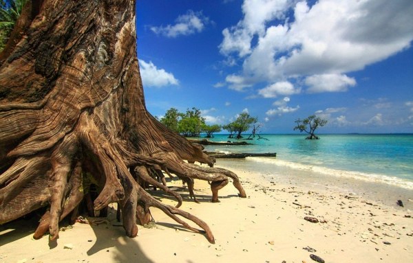 Картинки из сети