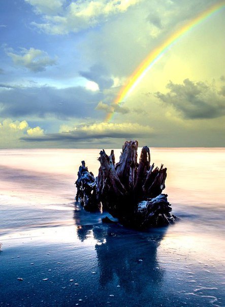 Интересные и веселые картинки