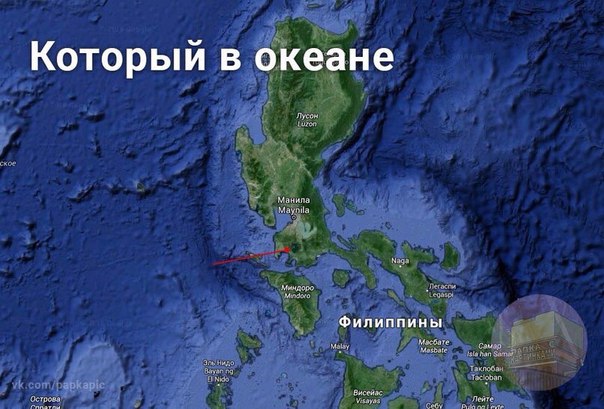 Подборка прикольных фото