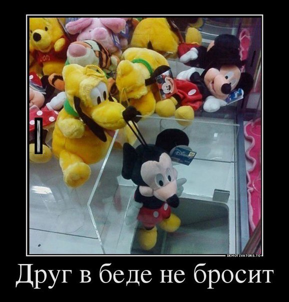 Картинки из сети
