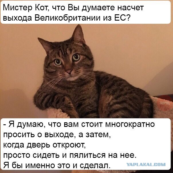 Средней упоротости пост