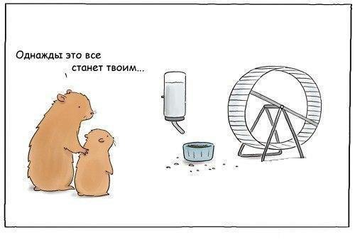 Про налоги