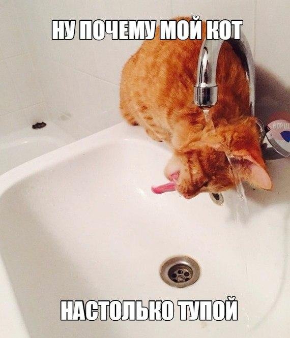 Приколы в стиле "регресс"