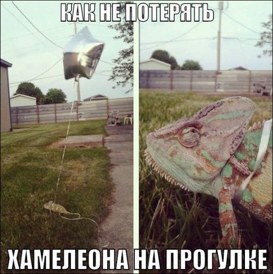 Подборка интересных и веселых картинок