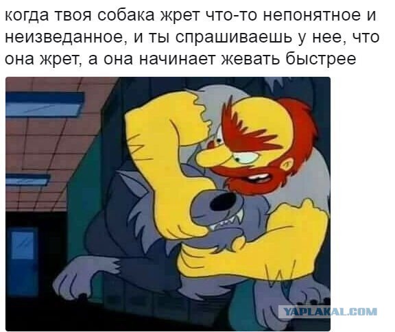 Баянистая годнота - 2