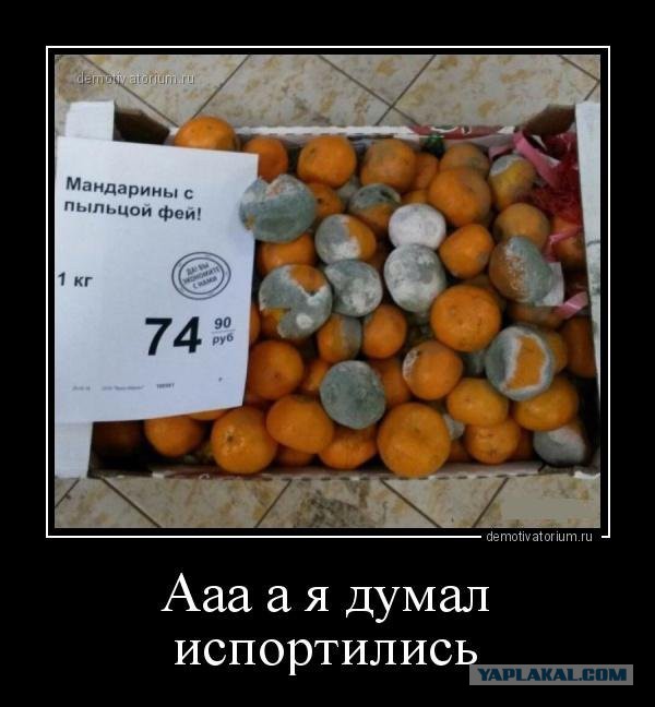 Картинки для поднятия настроения в понедельник