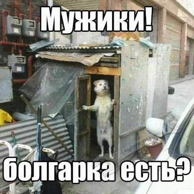 Подборка интересных и веселых картинок