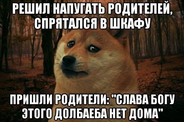 Смешные комментарии из социальных сетей 08.12.2017
