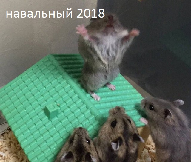 Подборка интересных и веселых картинок