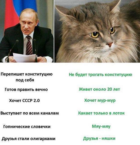 Тупик эволюции