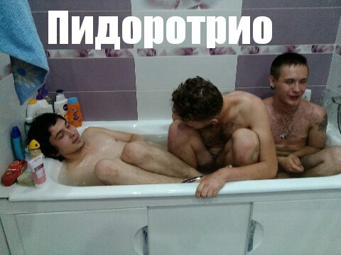 Скотсети и прочие интернеты 19.02.18