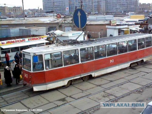 Что в имени тебе моём...