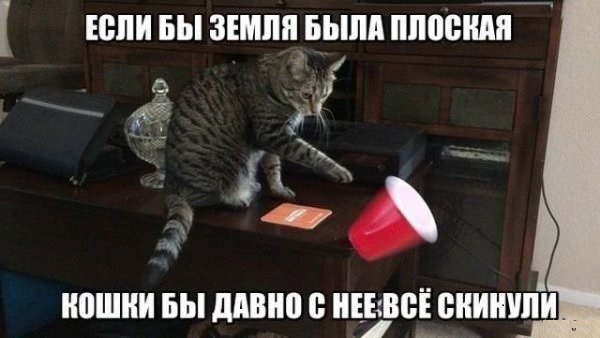Подборка картинок