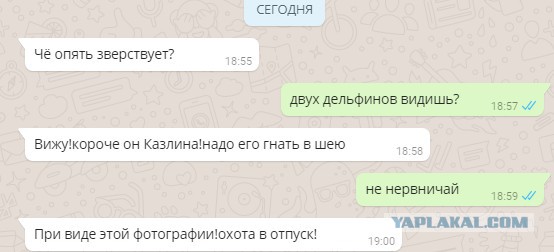Проверка психологической усталости