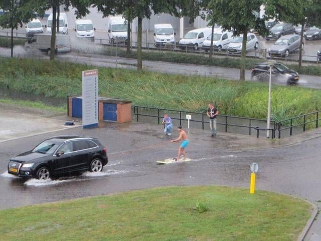 Прикольные картинки обо всем