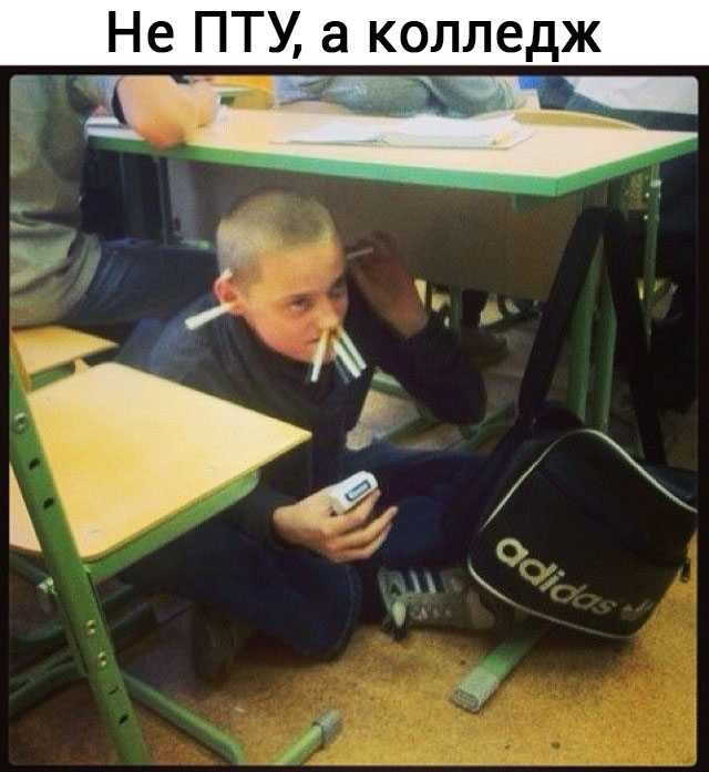 Картинки из интернетов
