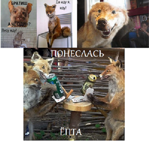 Прикольные картинки.
