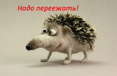 Крым! Переежать или нет