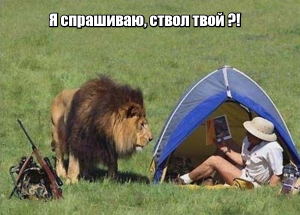 Не самый лучший день