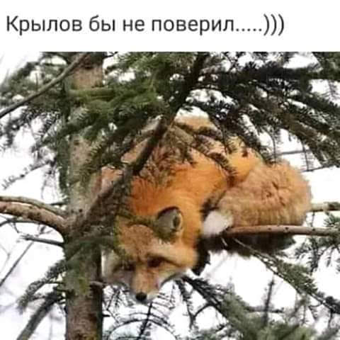 Анекдоты, истории и картинки с надписями