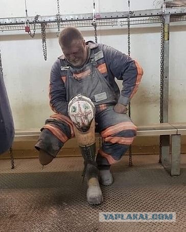 Не очень адекватный юмор