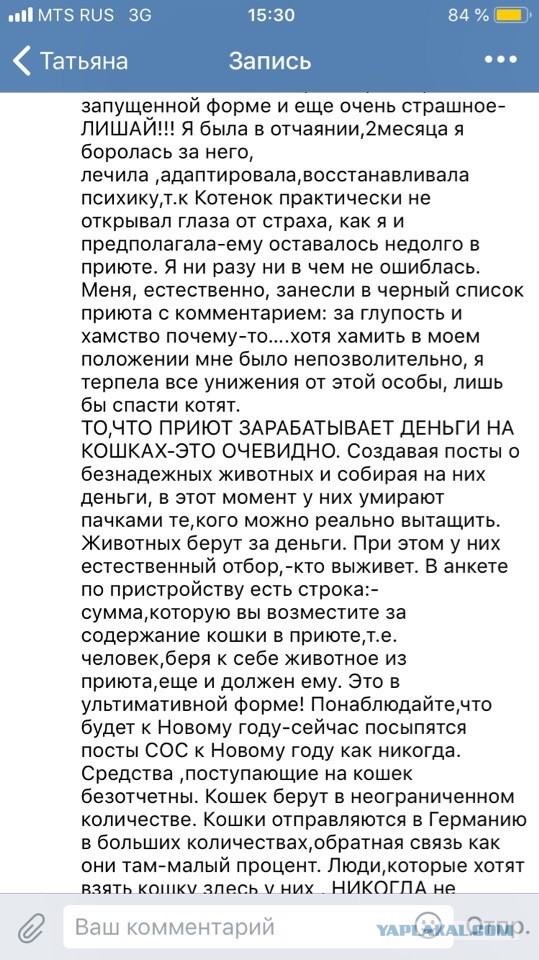 Помогите вернуть кота! Приют "Преданное сердце" украл кота и не отдает!