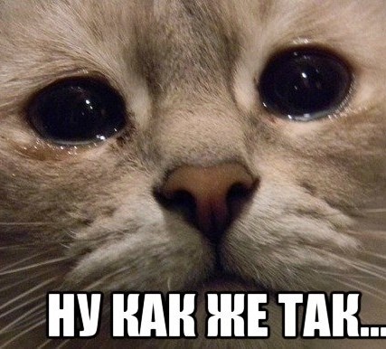Вы не можете иметь детей