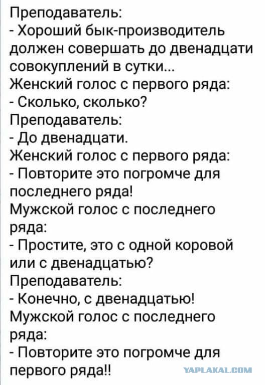 Чуток картинок! Финал в этом году