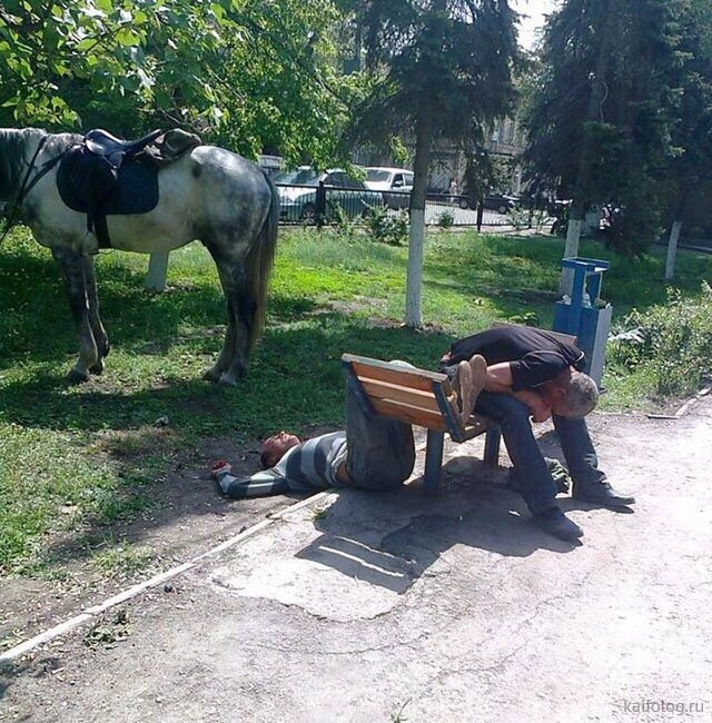 Факты и история в картинках