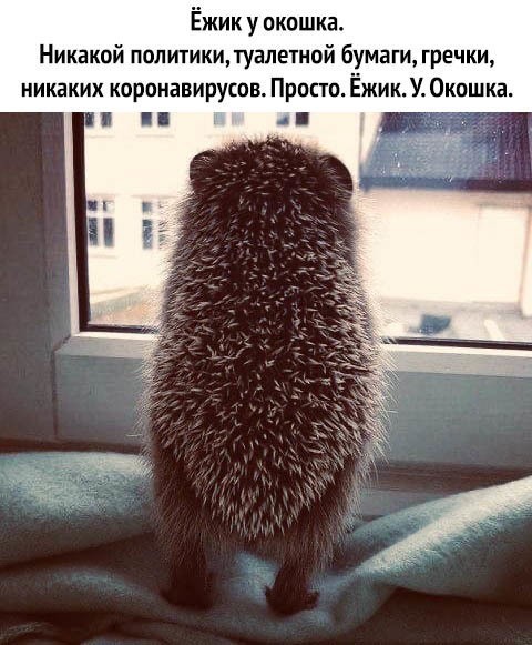 Бредзона 25.03.2020