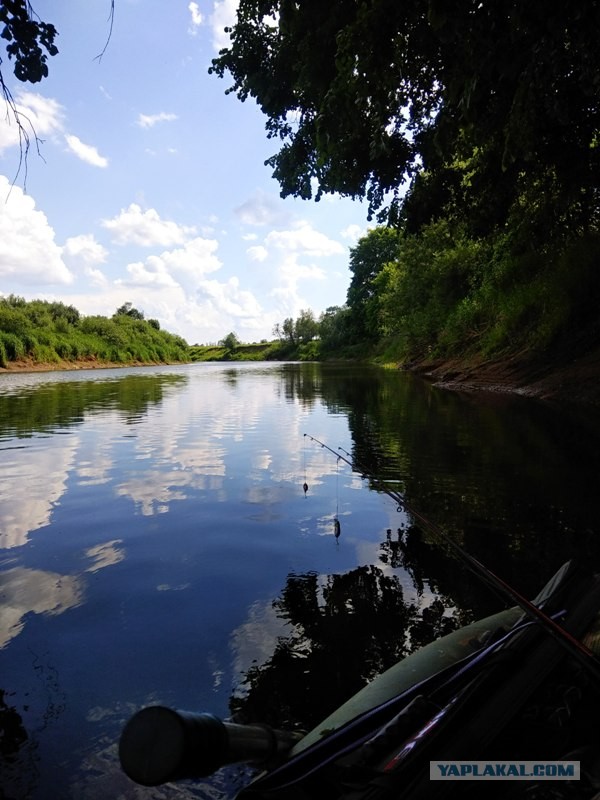 Со своих рыбалок, лето 2019