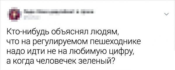 Минтай, форель и осетрина