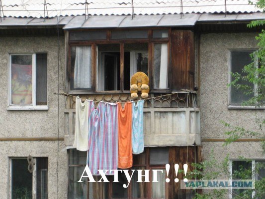 Конкурс: подпись к картинке