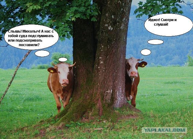 Как ты думаешь, измена скора отпустит?