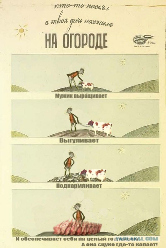 На огороде