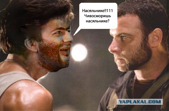 Боярский россомаха