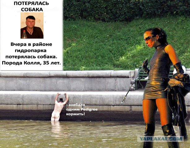 Битва фотожаберов (Команда №4), на набережной