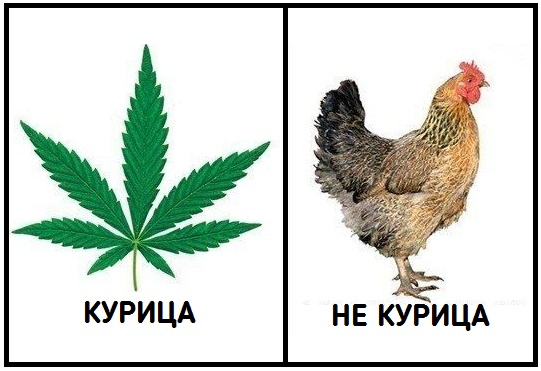 Паршивые картинки