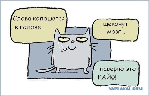 Главное - это точно установить причину