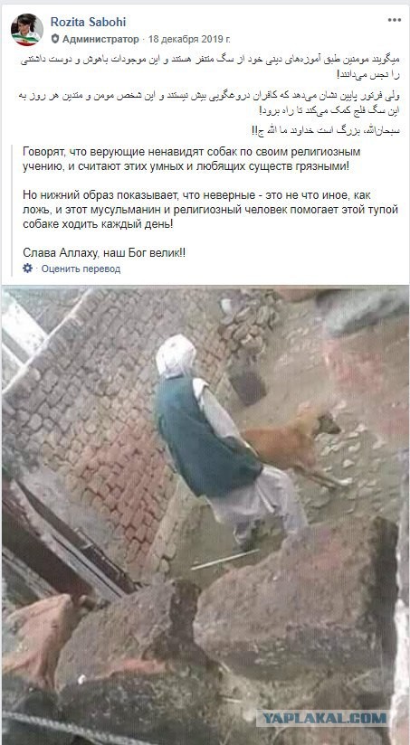 Теряя свою веру