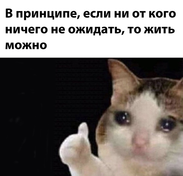 Картинки и мемы для настроения 03.12.2020
