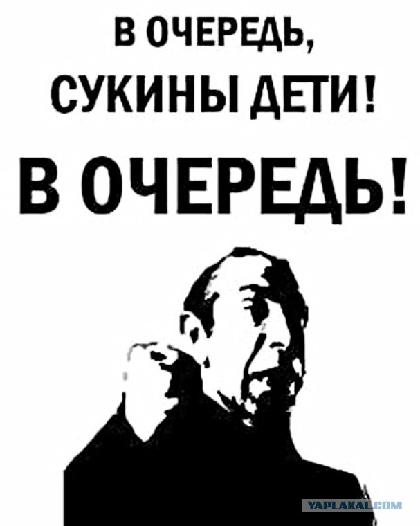 Кто в лес, кто по дрова… Как нас в очередной раз обвели вокруг пальца