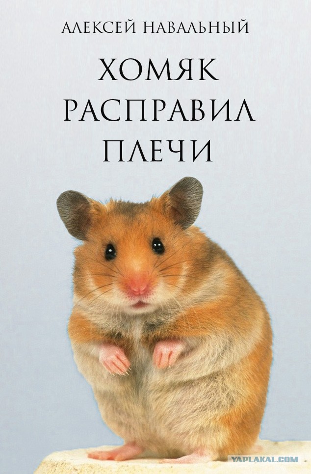 Место жительства: СИЗО-1