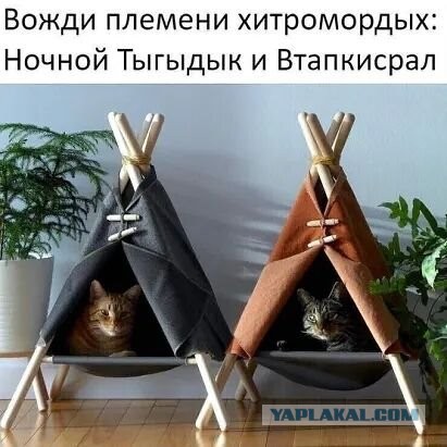 Винегрет из картинок боянистых и не очень для настроения или просто скоротать время