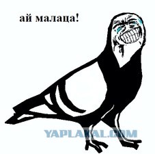 СтопКал