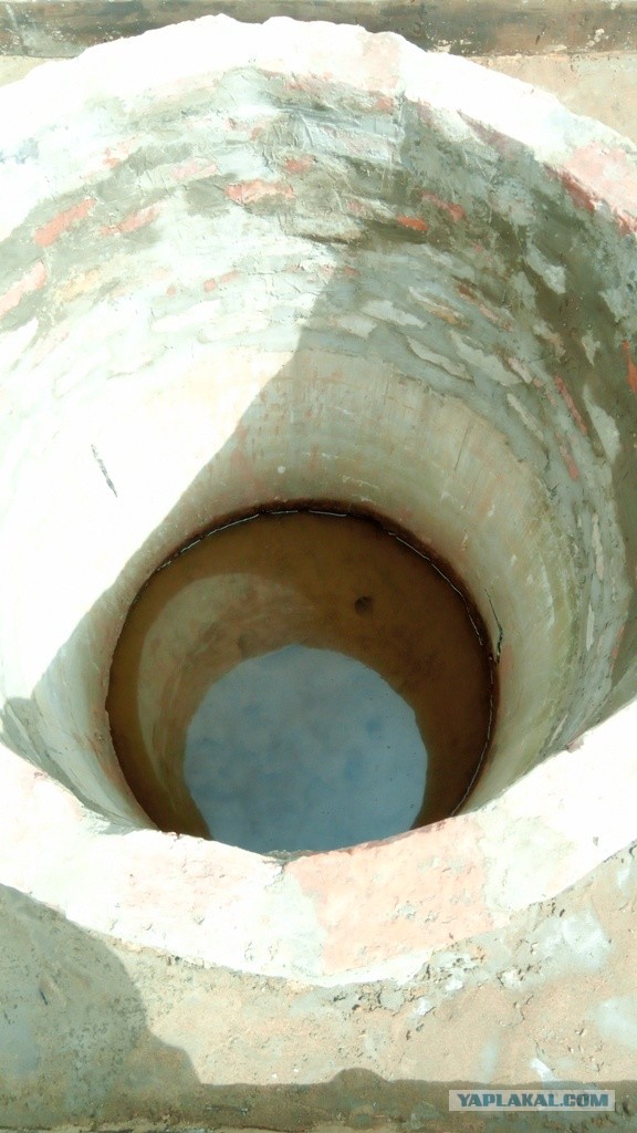 Психанул. Дачный сортир «king size»