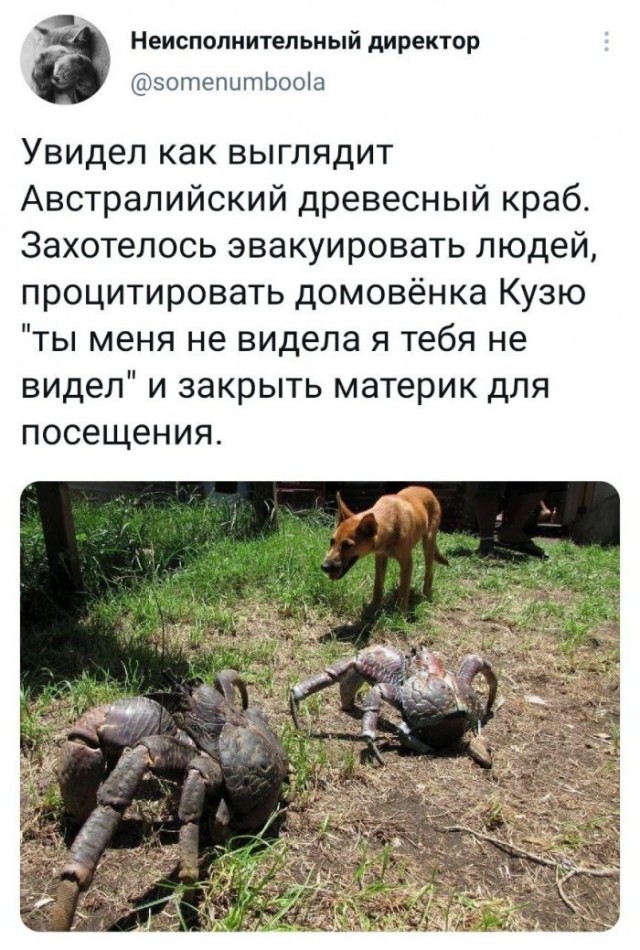 Картинки и мемы для настроения 26.05.2021