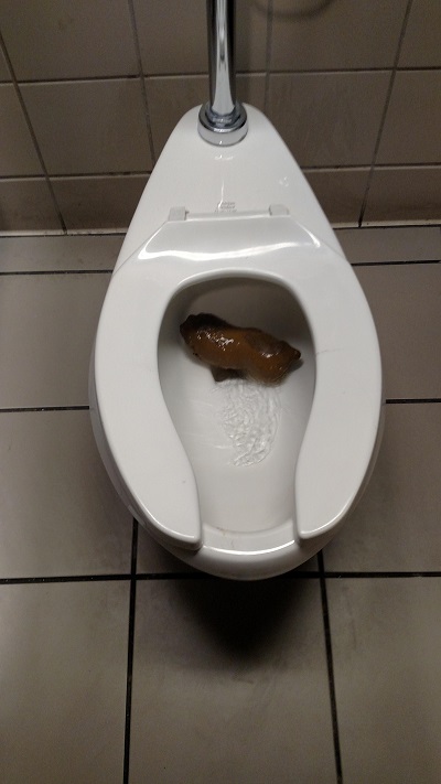Быдлорама